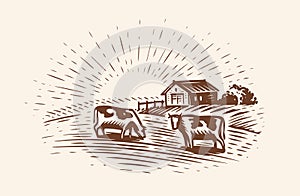 Cows graze in meadow near farm. Hand drawn graphical rural landscape. Sketch vector illustration