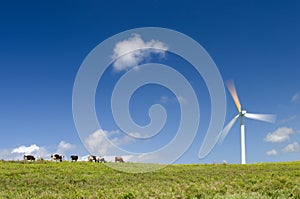 Cows grazing next to a wind turbine, motion blur