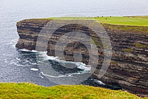 Cows Grazing in Pasture Above Ocean Cliffs.