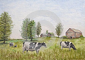 Cows in the meadow