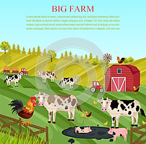 Cows and pigs animals at the farm Vector. summer green backgrounds