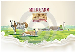 Cows in summer landscape and splash milk