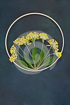 Cowslip Wildflower Abstract Nature Design