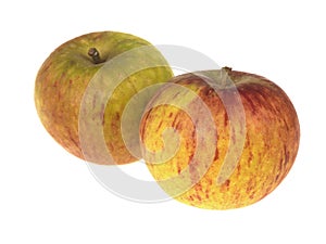 Cox Apples