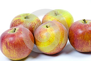 cox's pippin apples on white background