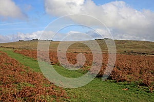 Cox Tor, Dartmoor