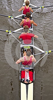 Coxed four