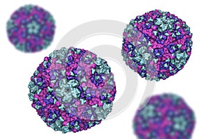 Coxsackievirus, an RNA enterovirus