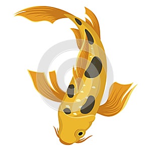 Coy fish icon, japanese asian yellow carp