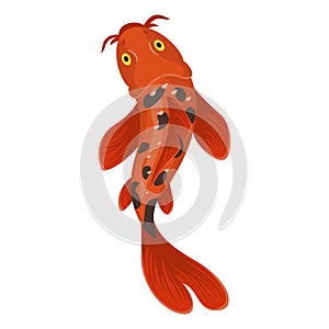 Coy fish icon, oriental japanese red fish