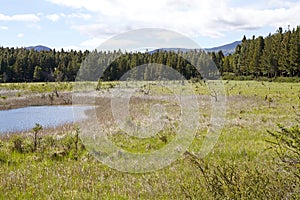 Coyhaique National Reserve, Chile