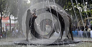 Coyoacan fountain