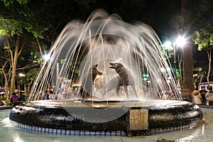 Coyotes fountain, Coyoacan, Mexico City night scene