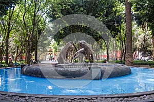 Coyoacan,Mexico fountain