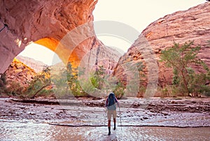 Coyote Buttes