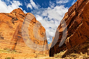 Coyote Buttes