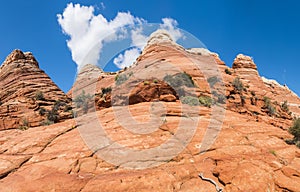 Coyote Buttes sandstone formations in Utah