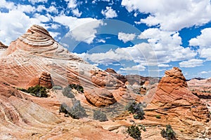 Coyote Buttes sandstone formations in Utah