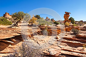 Coyote Buttes South