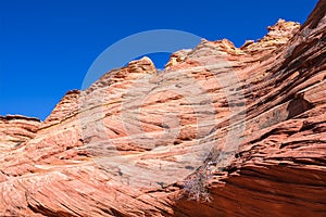 Coyote Buttes South