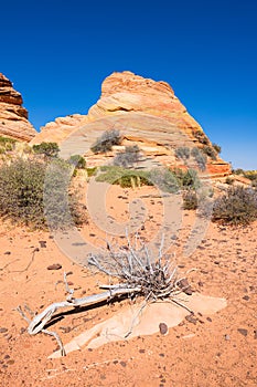 Coyote Buttes South