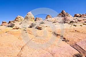 Coyote Buttes South