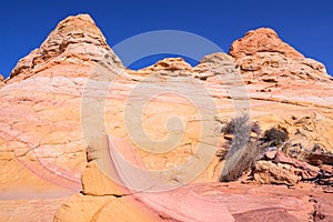 Coyote Buttes South