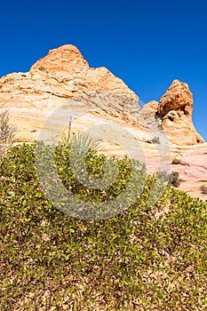 Coyote Buttes South