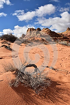 Coyote Buttes South