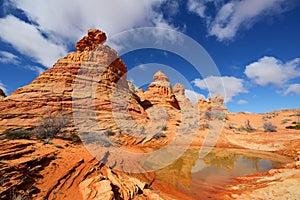 Coyote Buttes South photo