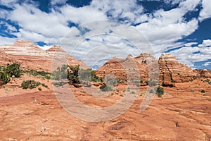 Coyote Buttes in the USA