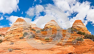 Coyote Buttes photo