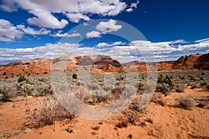 Coyote Buttes - The Wave