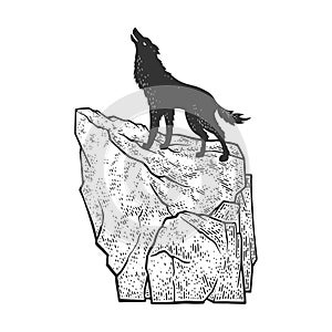coyote howling on rock sketch vector illustration photo