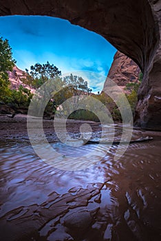 Coyote Natural Bridge Escalante Utah USA Fall Colors