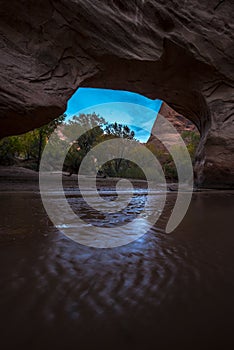 Coyote Natural Bridge Escalante Utah USA Fall Colors