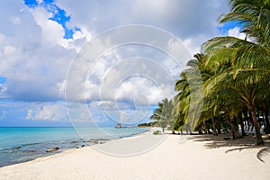 Cozumel island beach Riviera Maya Mexico