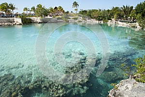 Cozumel Island Fresh Water Lagoon