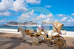 Cozumel island horse carriage and cruise