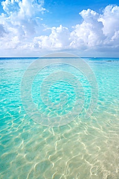 Cozumel island Palancar beach Riviera Maya photo