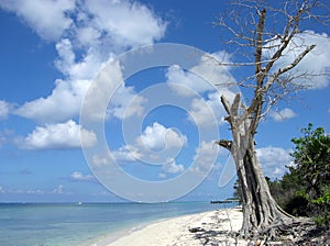 Cozumel Island Shore