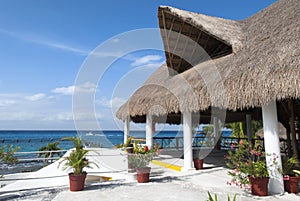 Cozumel Island Traditional Straw Roof