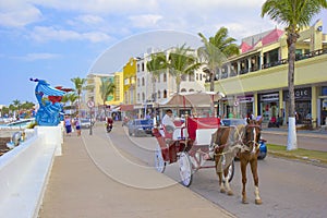 Cozumel, Mexico, Caribbean