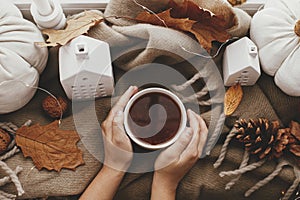 Cozy Autumn. Hands holding warm cup of tea flat lay with stylish pumpkin pillows, fall leaves, lights and cute buildings decor on