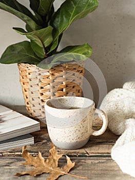 Cozy autumn home still life of a houseplant, a mug with a drink, a knitted blanket and magazines on a rustic wooden table