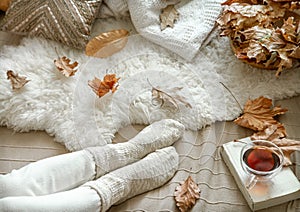 Cozy autumn at home, a woman with tea and a book