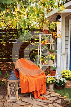 Cozy Autumn patio with chair, plaid, plants, wooden lantern, potted chrysanthemums. Halloween. Decorations in backyard for relax i