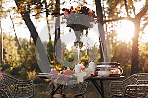 Cozy autumn picnic in the park. Close up of table setting with white plates, cutlery, glass vase with colourful