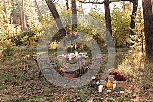 Cozy autumn picnic in the park. Close up of table setting with white plates, cutlery, glass vase with colourful