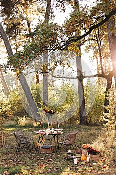 Cozy autumn picnic in the park. Close up of table setting with white plates, cutlery, glass vase with colourful